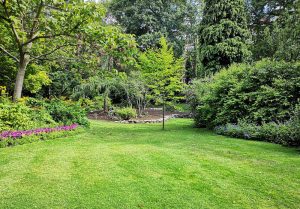 Optimiser l'expérience du jardin à Saint-Hilaire-d'Estissac